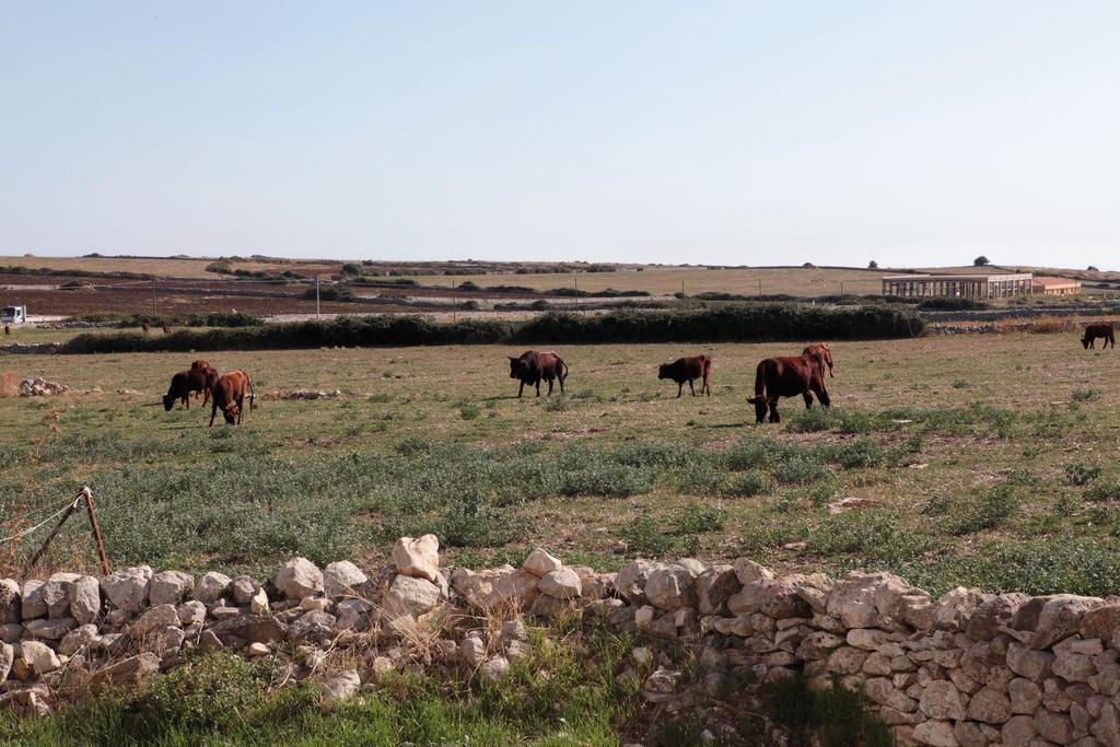 דירות קומיסו Ai Due Leoni 1863 מראה חיצוני תמונה